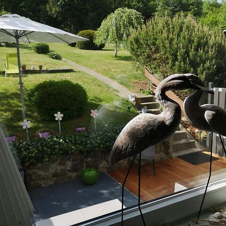 Casa Carlotta - Keine Monteure Villa Langelsheim Kültér fotó