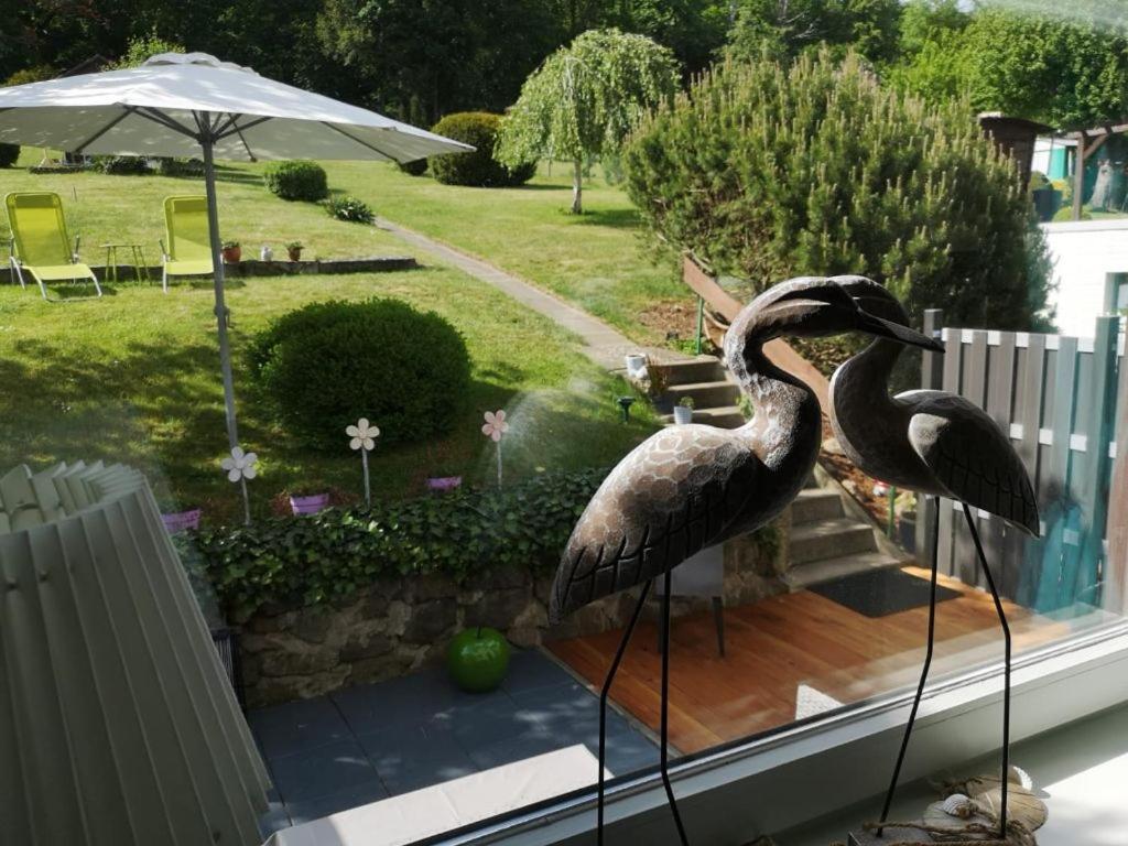 Casa Carlotta - Keine Monteure Villa Langelsheim Kültér fotó