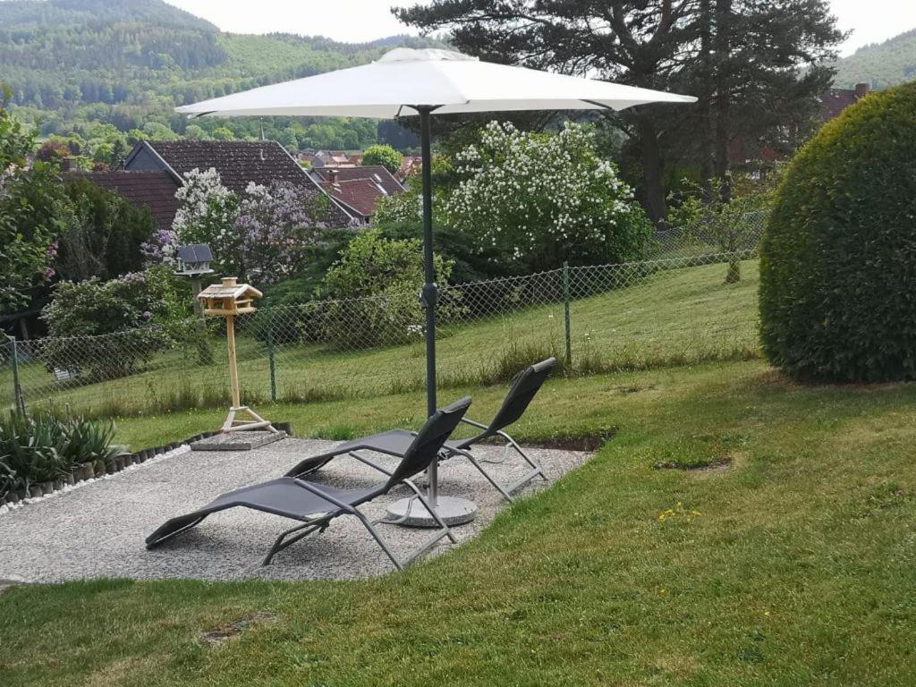 Casa Carlotta - Keine Monteure Villa Langelsheim Kültér fotó