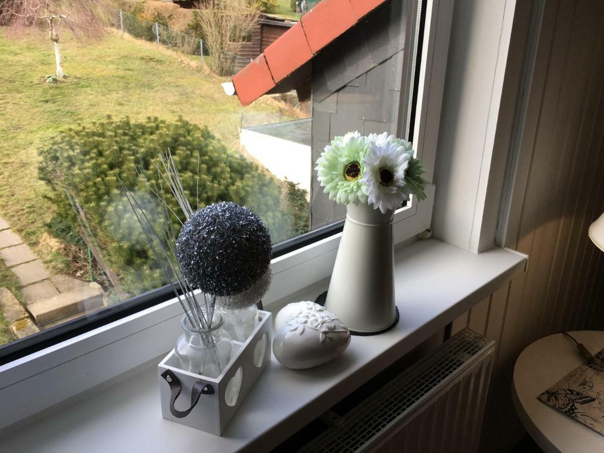 Casa Carlotta - Keine Monteure Villa Langelsheim Kültér fotó
